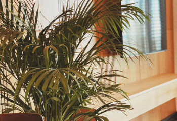 Квартира 1+1 в Кестеле, Алания, Турция | SBB-25889