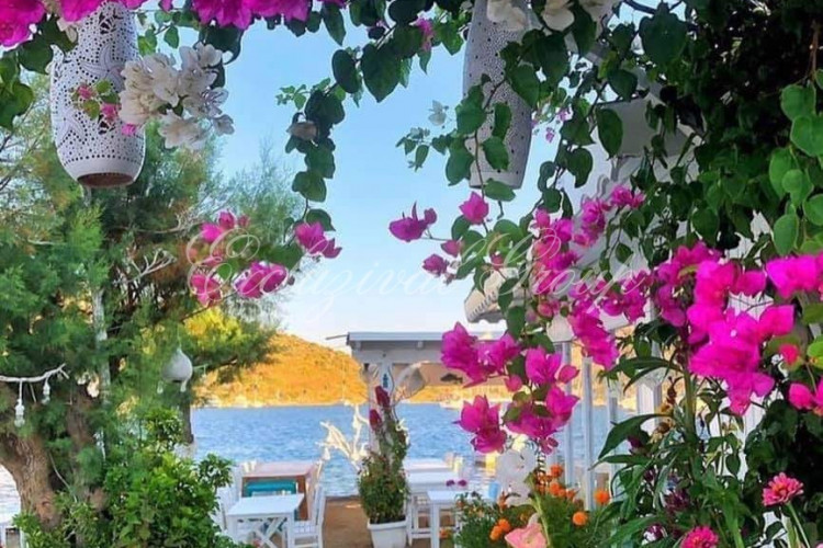 Квартира 2+1 в Бодруме, Турция | PTE-38736