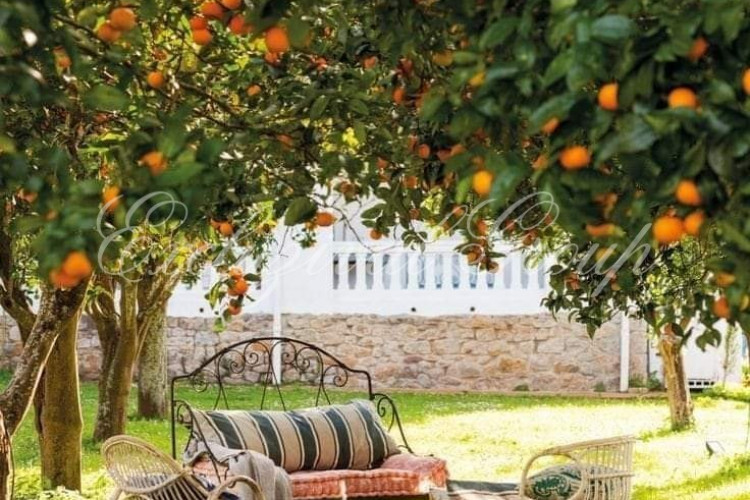 Квартира 2+1 в Бодруме, Турция | PTE-38736