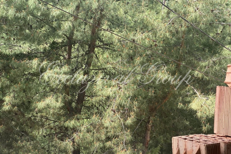 Квартира 2+1 в Фетхие, Турция | SBB-41597