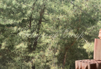 Квартира 2+1 в Фетхие, Турция | SBB-41597