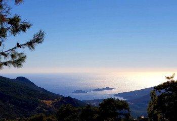 Вилла 5+1 в Калкане, Турция | SBB-21846