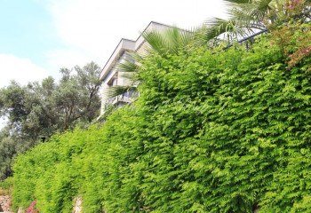 Вилла 4+1 в Бодруме, Турция | PTE-24093