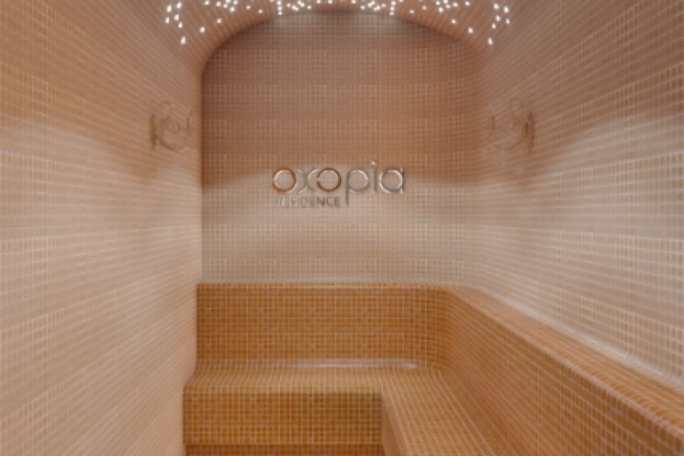 Пентхаус 3+1 в Кестеле, Турция | PKK-24744