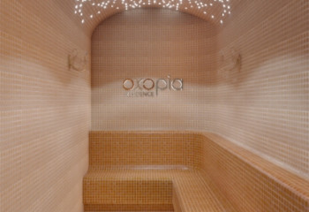 Пентхаус 3+1 в Кестеле, Турция | PKK-24744