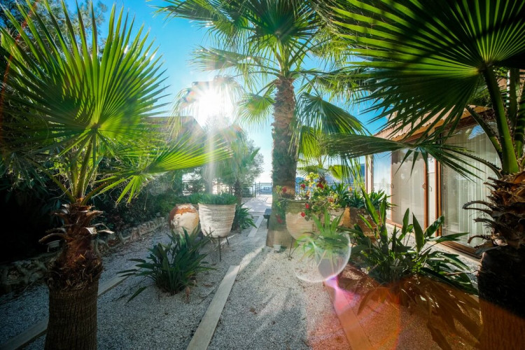 Вилла 5+1 в Бекташе, Алания, Турция | PTE-36204