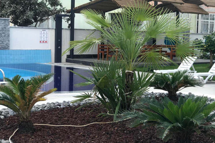 Пентхаус 3+1 в Алании, Турция | PKK-38419