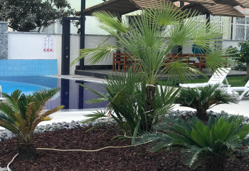 Пентхаус 3+1 в Алании, Турция | PKK-38419