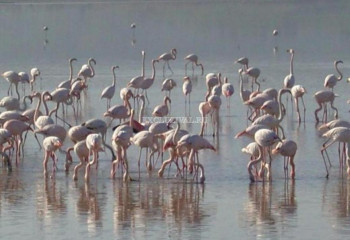 Вилла 3+1 в Бодруме, Турция | PBB-38455