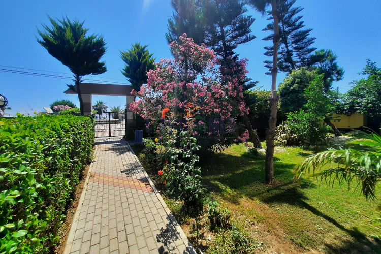 Квартира 1+1 в Кестеле, Турция | PKK-47660