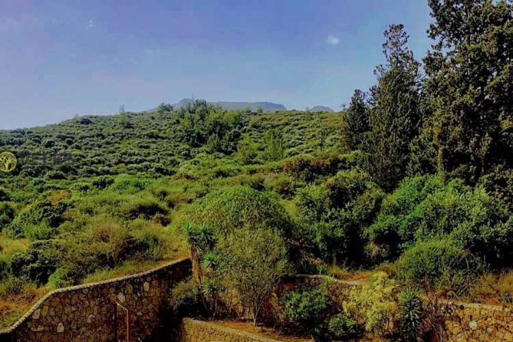 Квартира 3+1 в Эдремите, Турция | SBB-50710