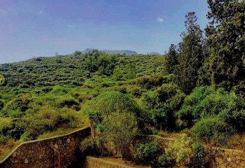 Квартира 3+1 в Эдремите, Турция | SBB-50710