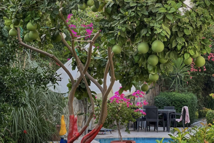 Квартира 3+1 в Кемере, Турция | STE-56098