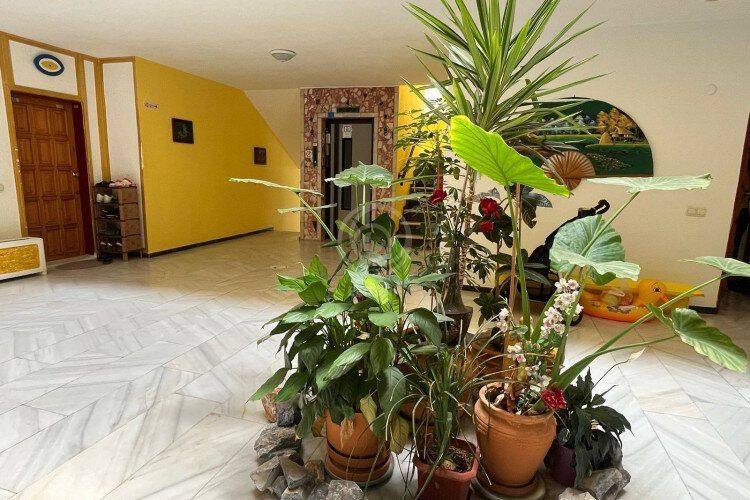 Квартира 1+1 в Алании, Турция | PTE-56585