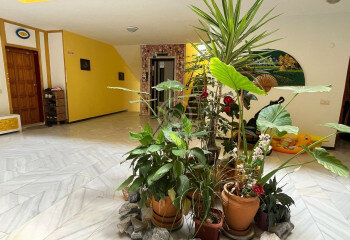 Квартира 1+1 в Алании, Турция | PTE-56585