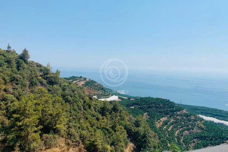 Квартира 4+1 в Алании, Турция | PKK-58596