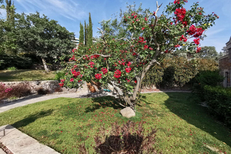 Вилла 4+1 в Бодруме, Турция | PTE-06995