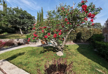 Вилла 4+1 в Бодруме, Турция | PTE-06995