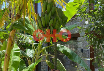 Вилла 5+1 в Бодруме, Турция | SBB-61002