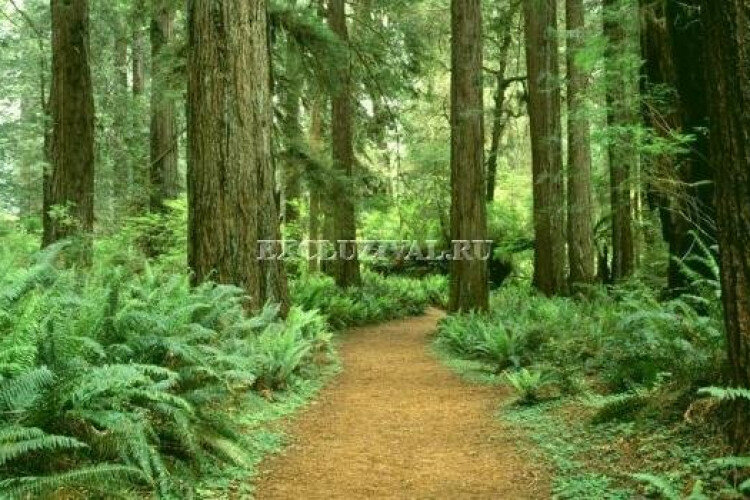 Квартира 1+1 в Дидиме, Турция | PBB-61496