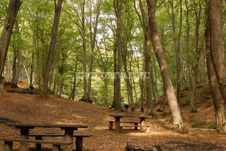 Квартира 1+1 в Дидиме, Турция | PBB-61496