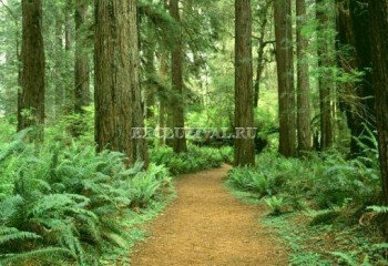 Квартира 1+1 в Дидиме, Турция | PBB-61496