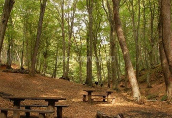 Квартира 1+1 в Дидиме, Турция | PBB-61496