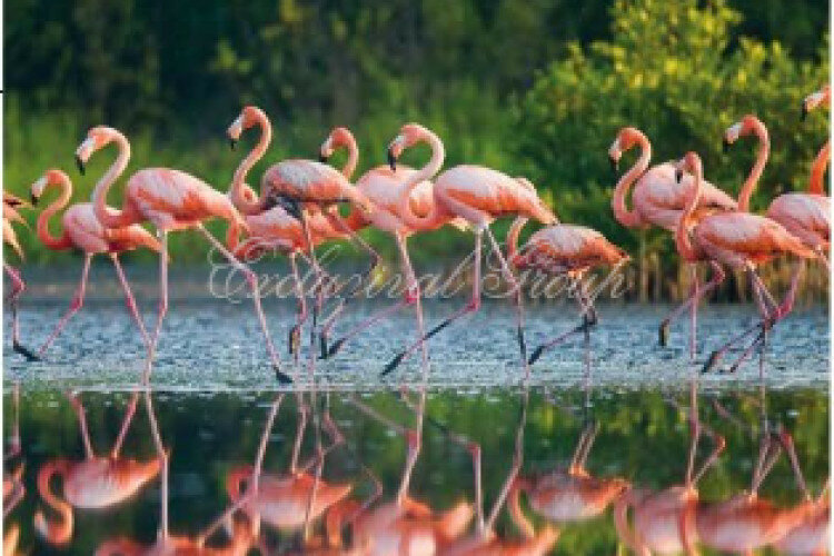 Вилла 3+1 в Бодруме, Турция | PKK-61720