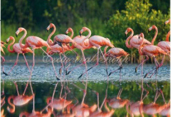 Вилла 3+1 в Бодруме, Турция | PKK-61720