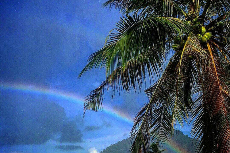 Отель на острове Самуй, Таиланд | THE208952