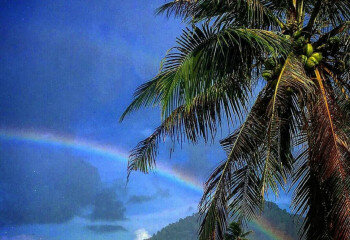 Отель на острове Самуй, Таиланд | THE208952