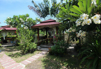 Коммерческая недвижимость в Хуахине, Таиланд | THE557953