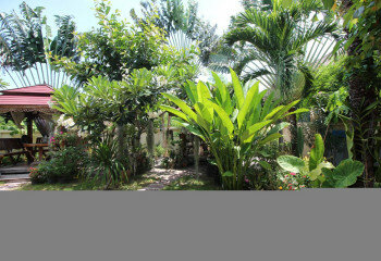 Коммерческая недвижимость в Хуахине, Таиланд | THE557953