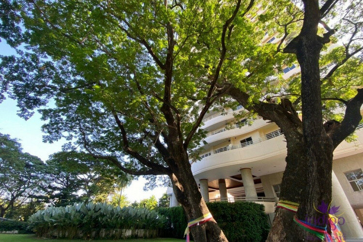 Кондоминиум в Чиангмае, Таиланд | THE556594