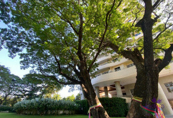 Кондоминиум в Чиангмае, Таиланд | THE556594