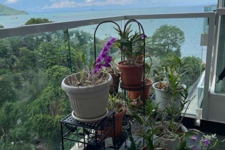 Кондоминиум в Банг Саре, Таиланд | THE137950