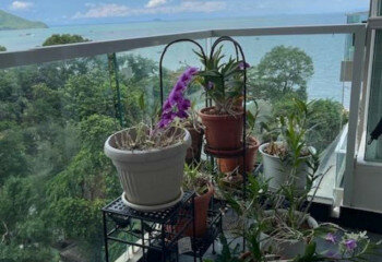 Кондоминиум в Банг Саре, Таиланд | THE137950