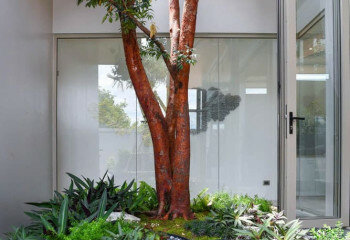 Вилла в Най Янге, Пхукет, Таиланд | THE507392