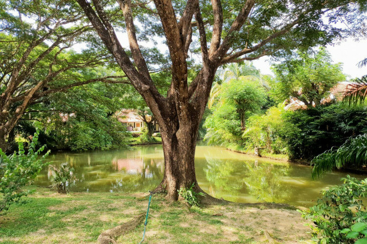 Дом в Най Харне, Пхукет, Таиланд | THE405033