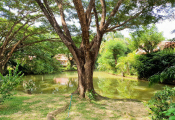 Дом в Най Харне, Пхукет, Таиланд | THE405033