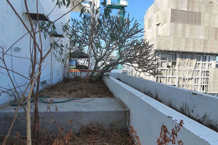 Пентхаус в Бангкоке, Таиланд | THE249090