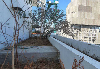 Пентхаус в Бангкоке, Таиланд | THE249090