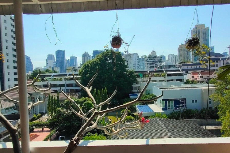 Таунхаус в Бангкоке, Таиланд | THE412777