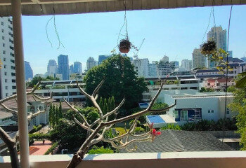 Таунхаус в Бангкоке, Таиланд | THE412777