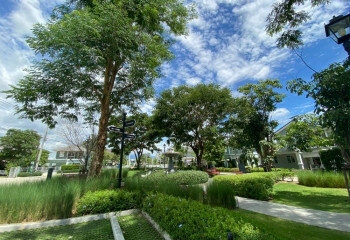 Таунхаус в Сан-Сае, Таиланд | THE356795