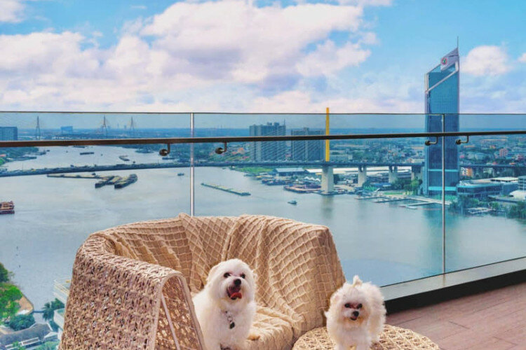 Дом в Бангкоке, Таиланд | THE507523