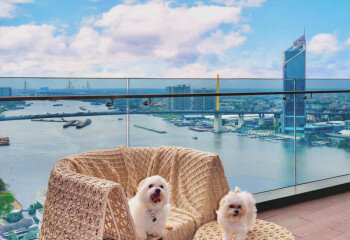 Дом в Бангкоке, Таиланд | THE507523