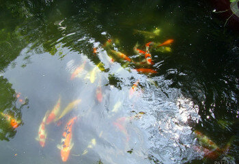 Дом в Джомтьене, Паттайя, Таиланд | THE421514