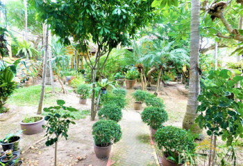 Дом в Джомтьене, Паттайя, Таиланд | THE125085