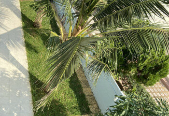 Дом в Джомтьене, Паттайя, Таиланд | THE423172